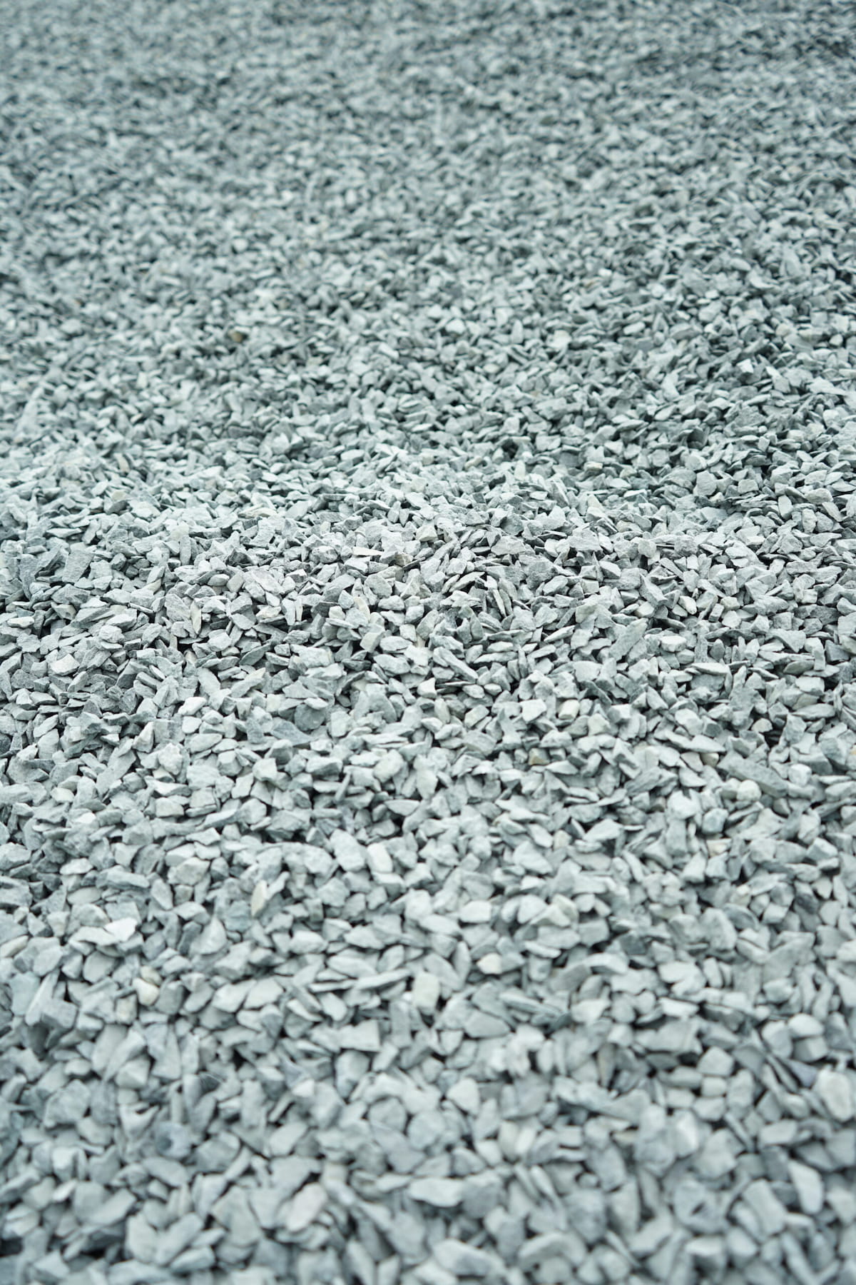 Sello 3S 1/2"