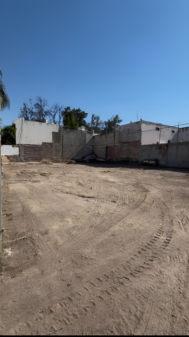 Proyecto 5